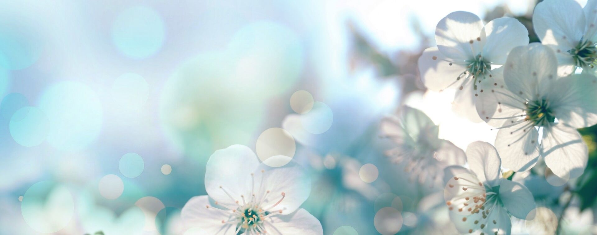 Remembrance Stationery